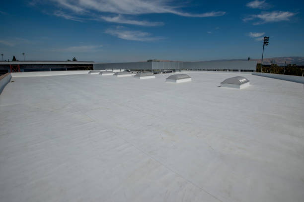 Best 4 Ply Roofing  in Reedley, CA